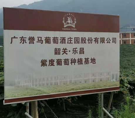 广东韶关葡萄酒庄园选用螺杆式蒸发冷机组